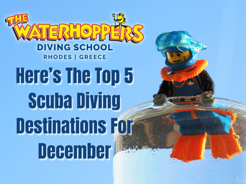 Here’s The Top 5 Scuba Diving Destinations For December